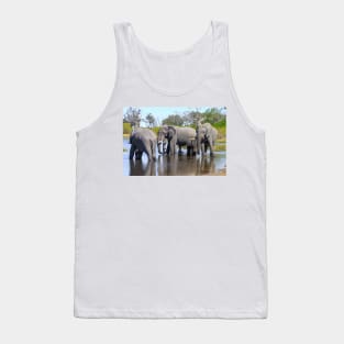 Three Elephants Wading in Botswana Tank Top